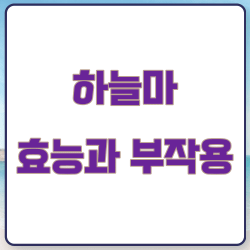 하늘마-효능 하늘마 효능